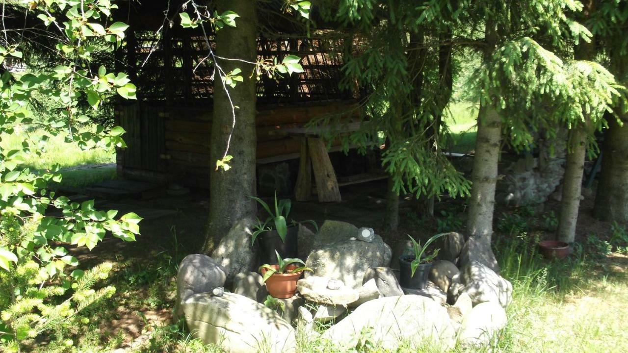Apartamenty Lejowka 乔乔洛 外观 照片