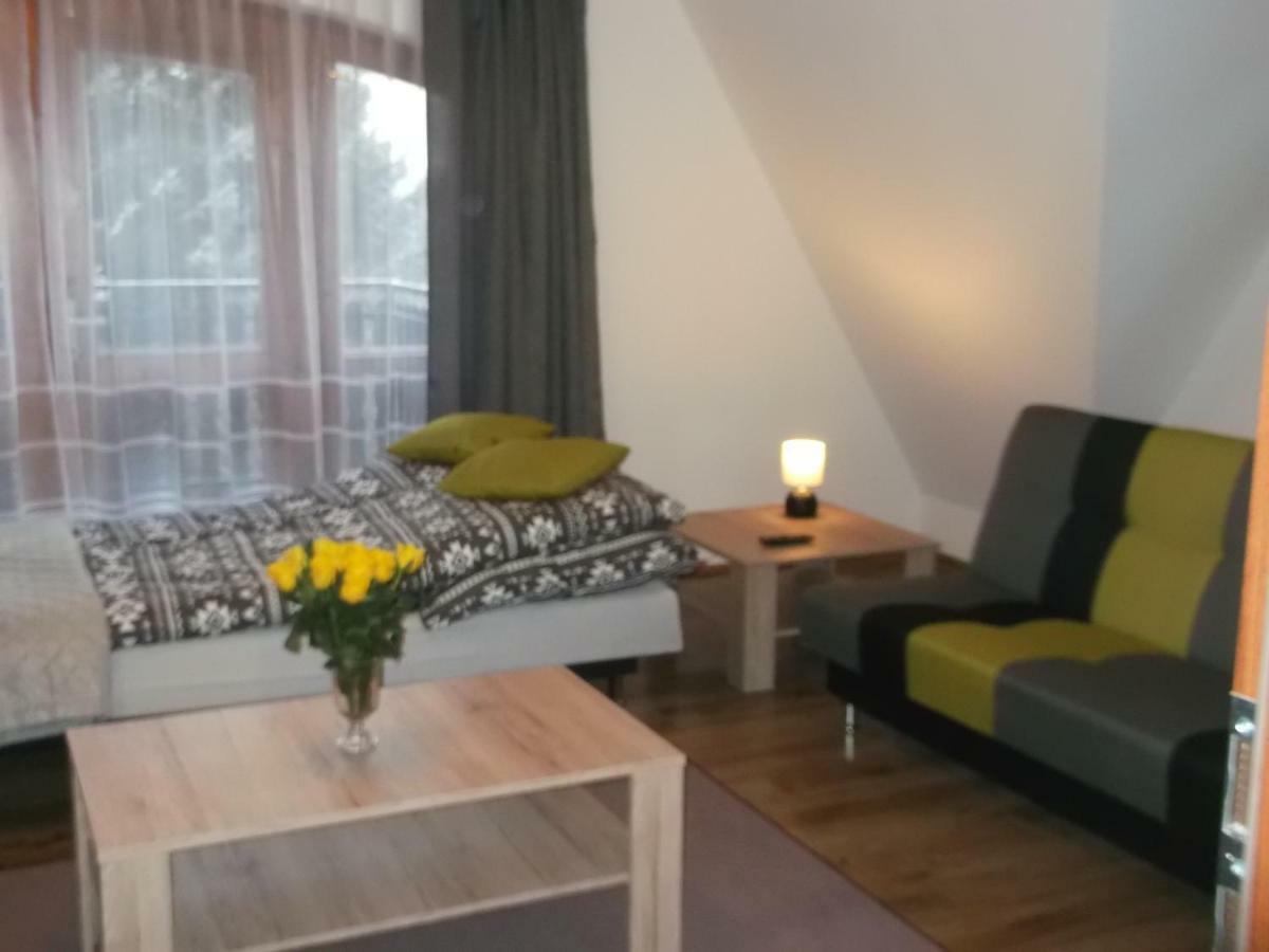 Apartamenty Lejowka 乔乔洛 外观 照片